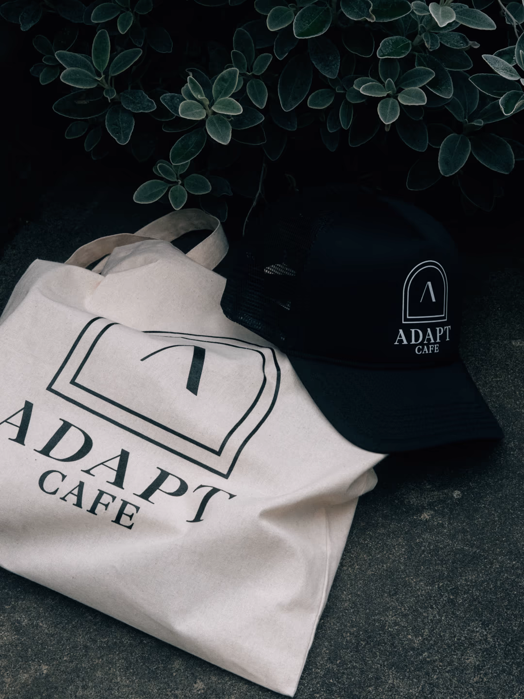 Adapt Cafe photo